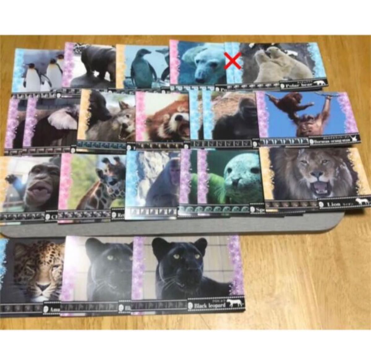 【早い者勝ち】 旭山動物園 動物 図鑑 カード 21枚