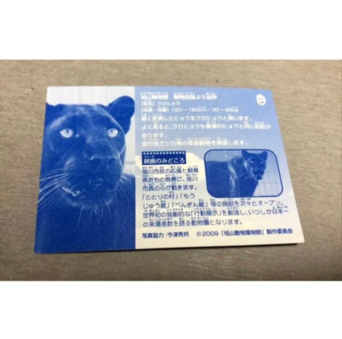 【早い者勝ち】 旭山動物園 動物 図鑑 カード 21枚
