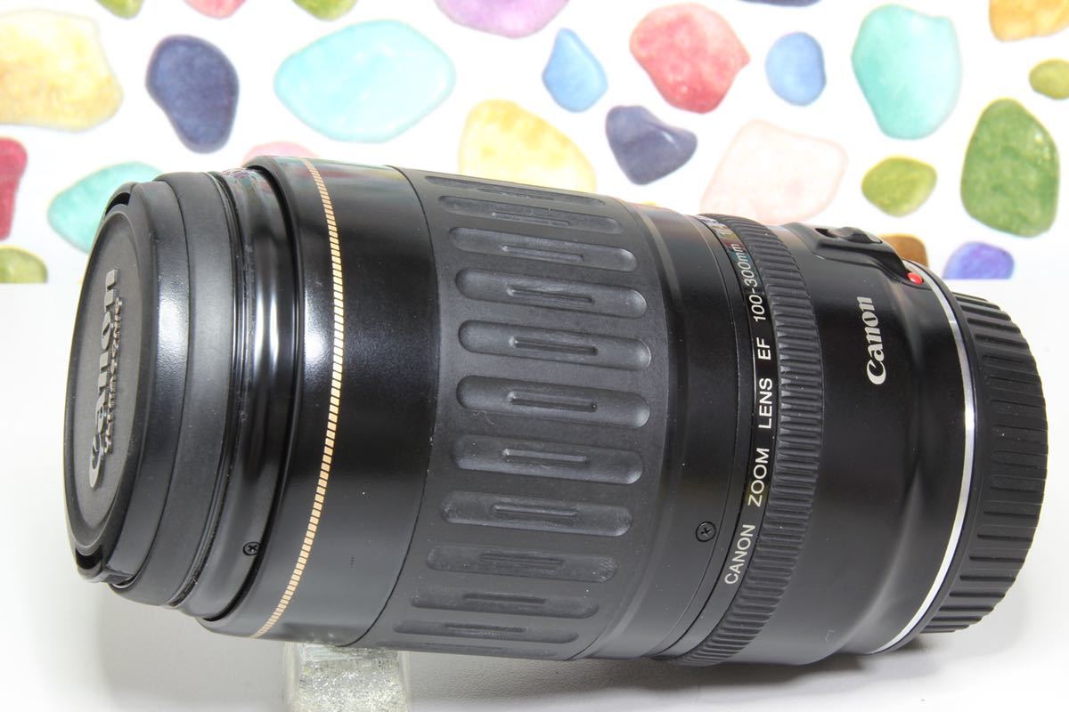 Canon純正 100-300mm 望遠レンズ! - 通販 - guianegro.com.br