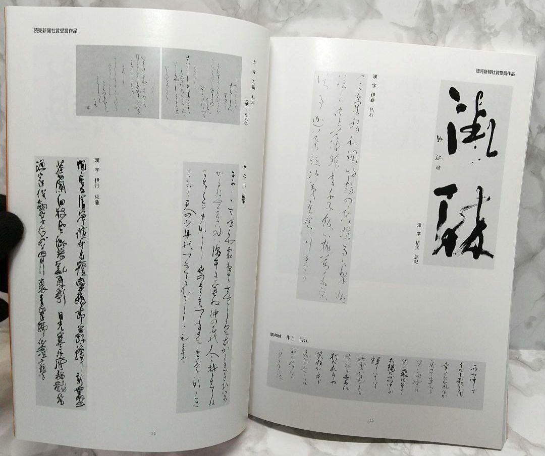 第16回　読売書法展　入賞作品図録　読売新聞社賞・特選　本 読売新聞社　読売書法会_画像7