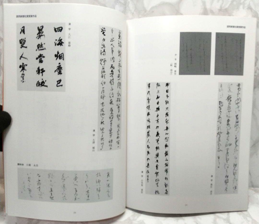 第16回　読売書法展　入賞作品図録　読売新聞社賞・特選　本 読売新聞社　読売書法会_画像8