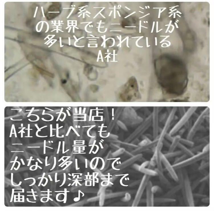 最大68%OFFクーポン 説明書付き2回分 純国産 レベル7 天然100%無
