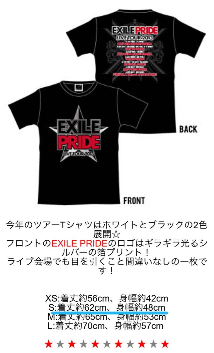 EXILE PRIDE 2013】 ライブTシャツ｜PayPayフリマ