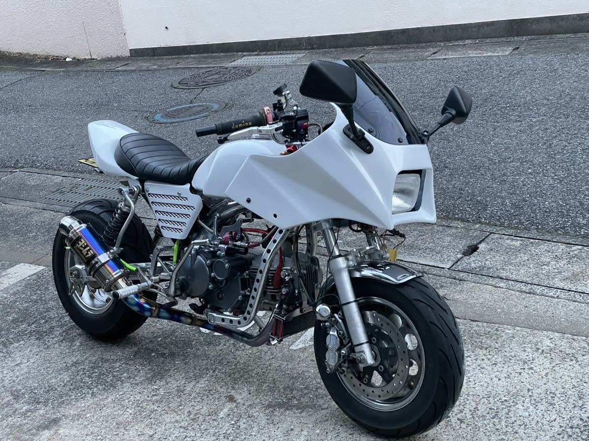 ミニンジャカウル Z125プロ用 モンキーに使用 | yaraan.com