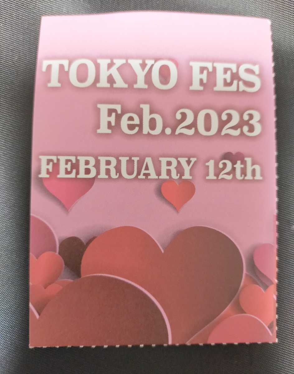 2月12日 日 TOKYO FES Feb.2023 Comic City サークルPASS サークル