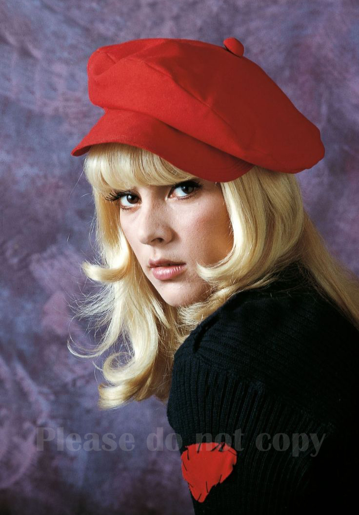 アイドルを探せ　シルヴィ・ヴァルタン　Sylvie Vartan フォト 3枚付き_画像2