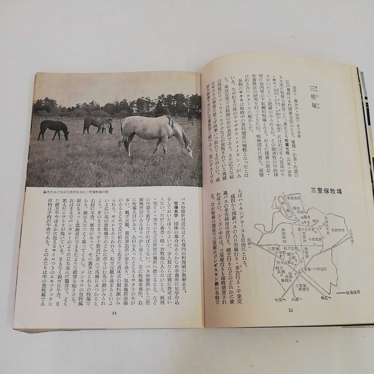 1_▼ ブルーガイドブックス 60 水郷 水戸 常陸 SUIGO MITO　昭和41年3月20日 初版 発行 1966年 実業之日本社 山本佗介 著 袋田温泉 東海村_画像8