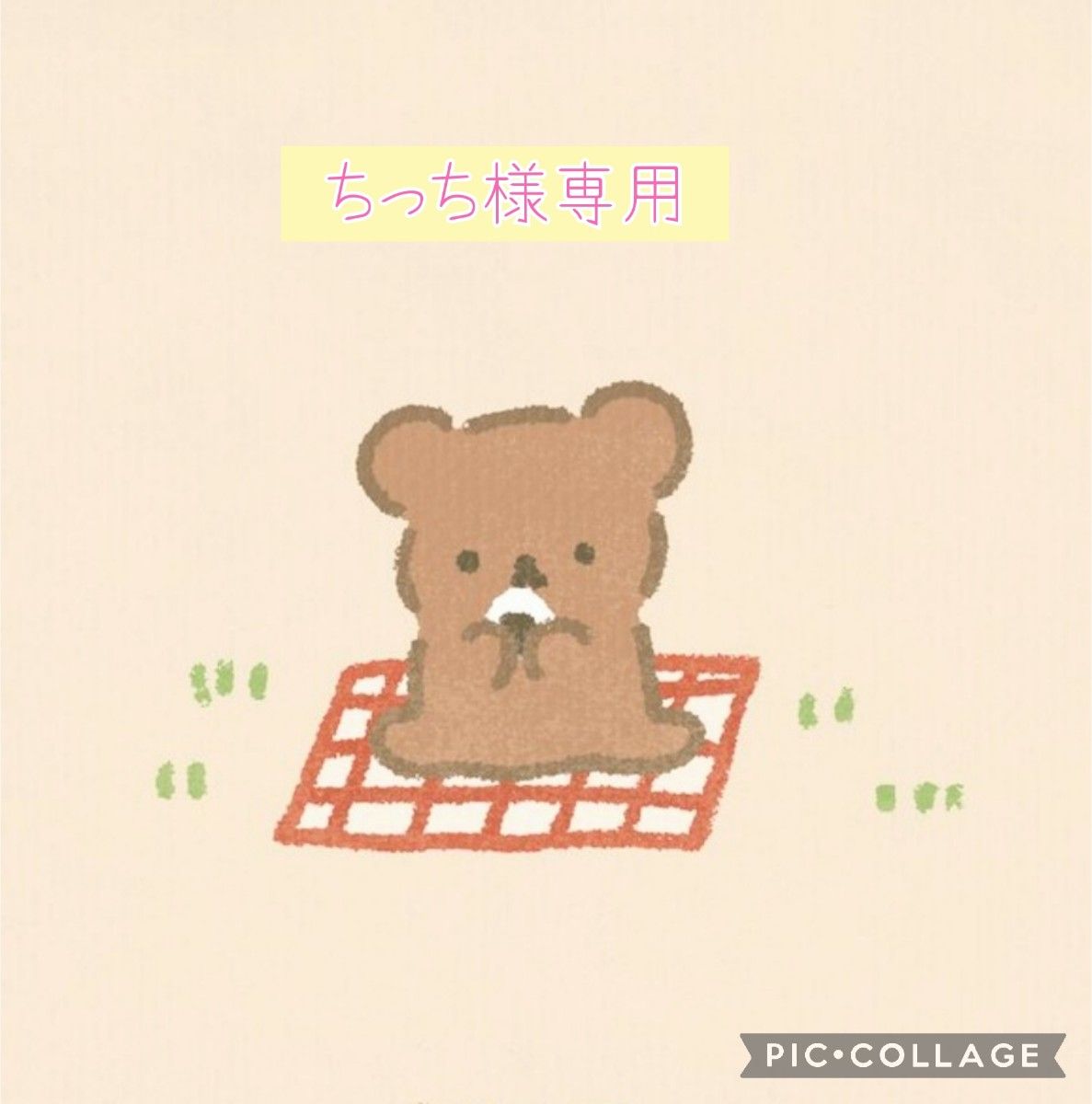 ちっち様専用-