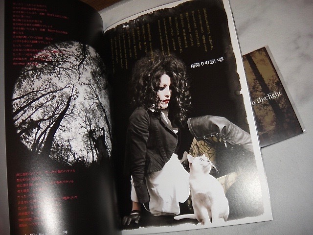 眞呼 buried with the light 眞呼(deadman)/CD+本/buried with the light/kein/デッドマン