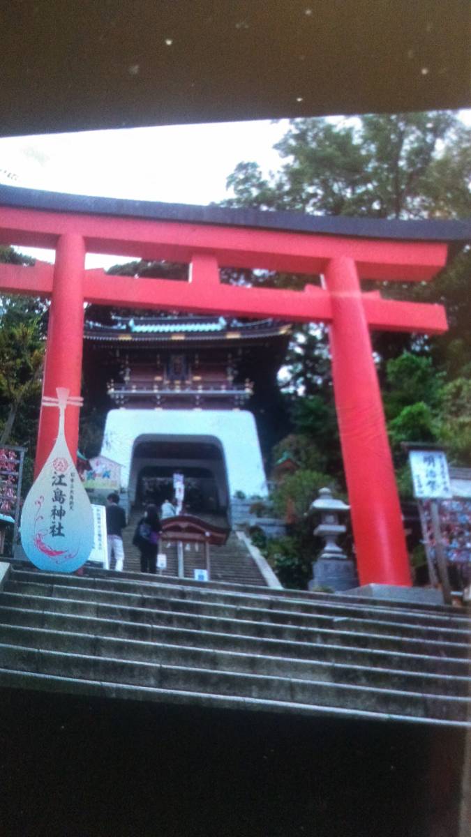 ★江島神社★日本三大弁財天★本水晶龍神ペンダントネックレス★_画像3