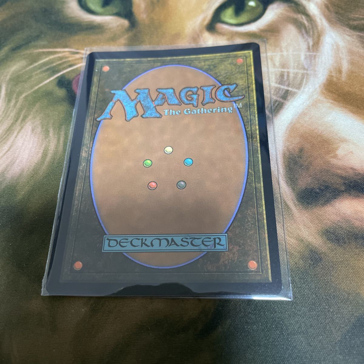 mtg 湿った墓 英foil ボーダーレス アンフィニティ（Unfinity）_画像2