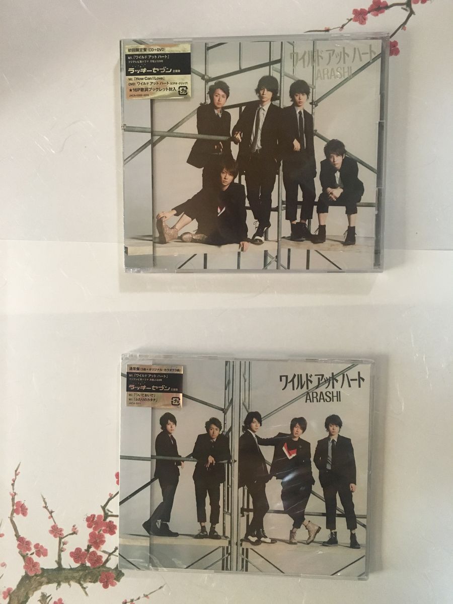 最大41%OFFクーポン 嵐 I seek Daylight 初回限定盤2 CD+DVD 未開封