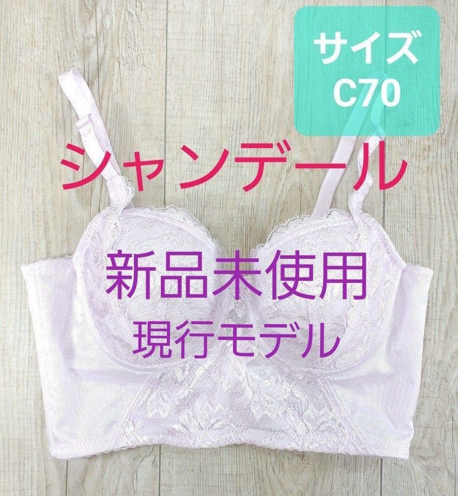 シャンデール ブラジャー C70 abitur.gnesin-academy.ru