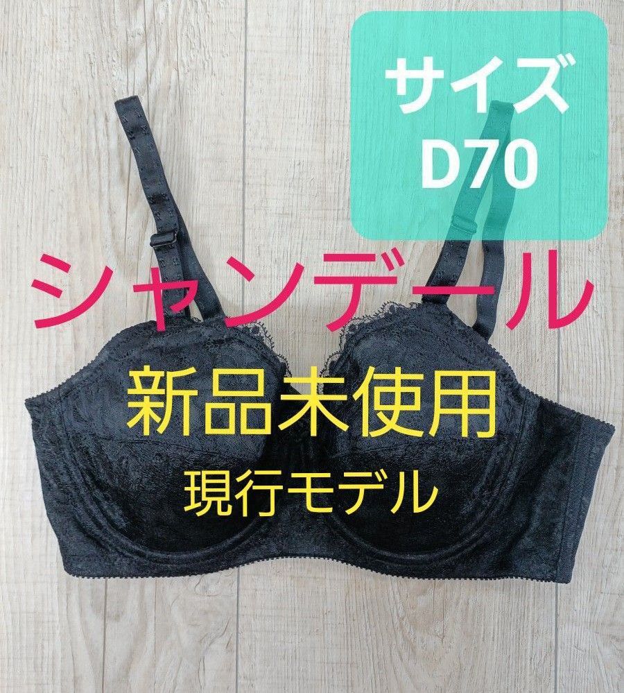 大人気新品 その他日本正規代理店品 シャンデール ブラジャーD70 espaciomalvon.com.ar