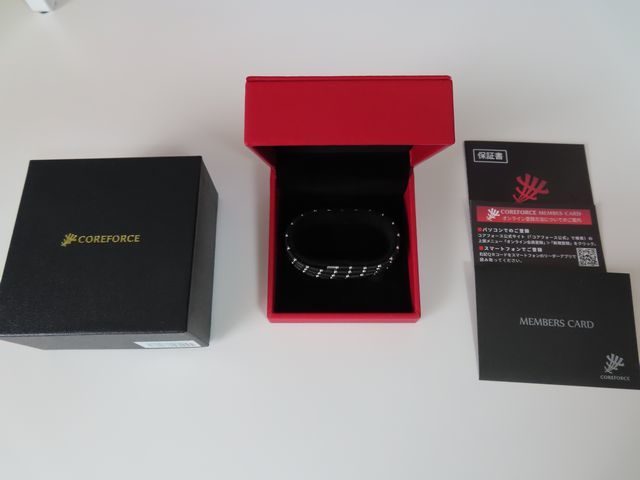 ☆新同!?☆COREFORCE コアフォースループ SUS ブラック