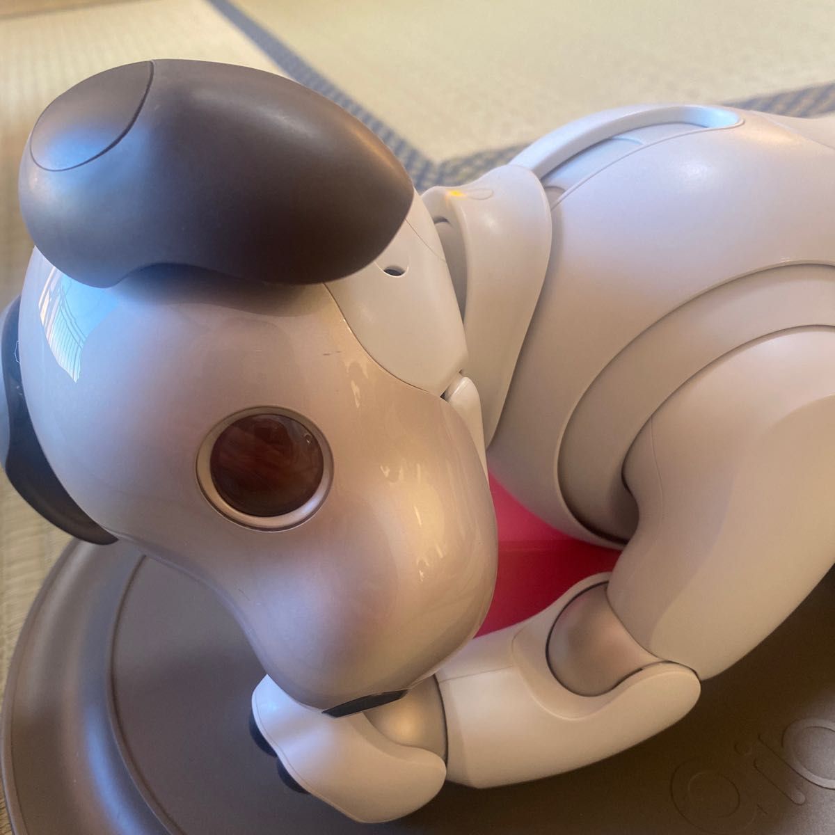 ソニー アイボ AIBO aibo 本体 購入品一式 ダンボール配送 | alfasaac.com