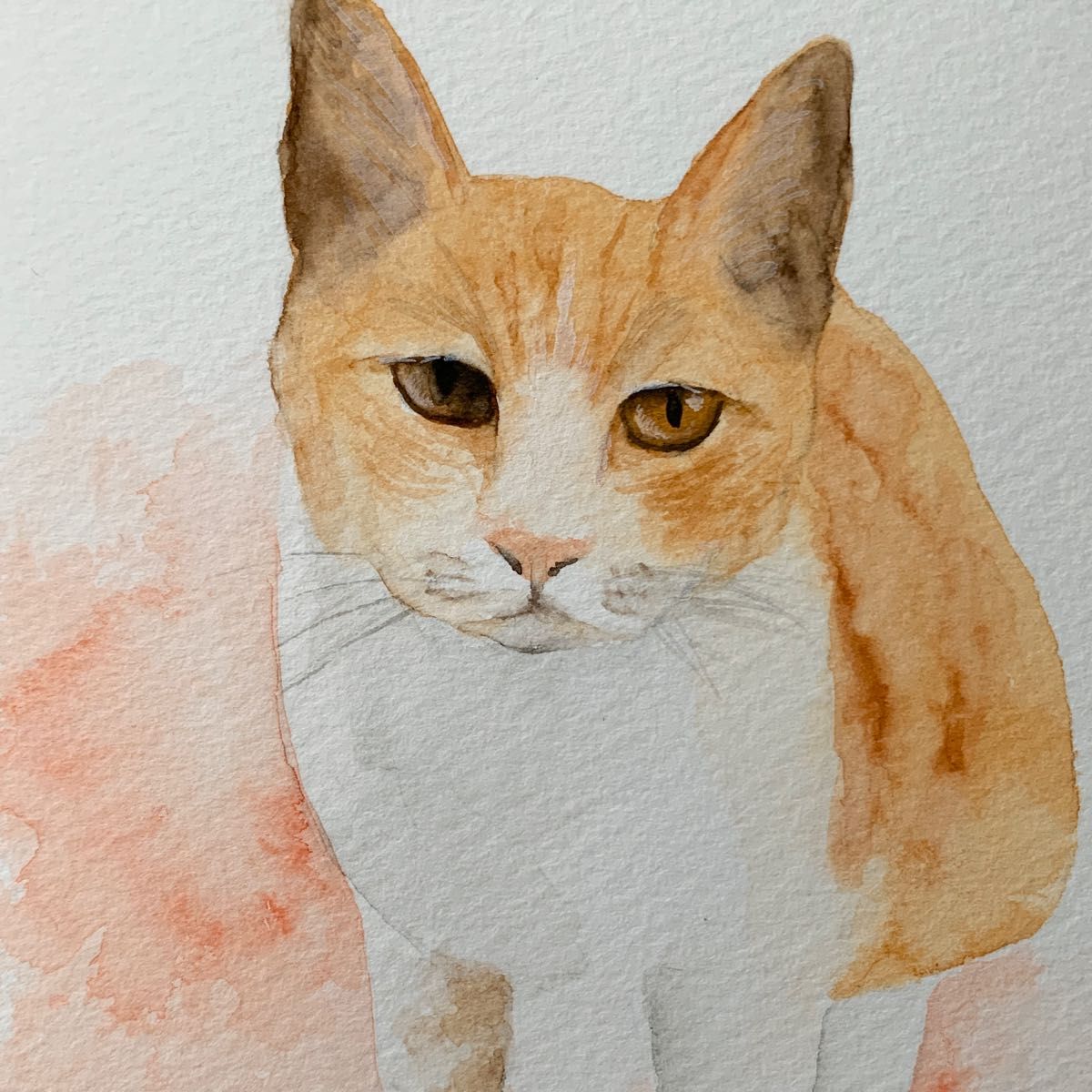 水彩画 猫 手描き 原画 2. - 通販 - gofukuyasan.com