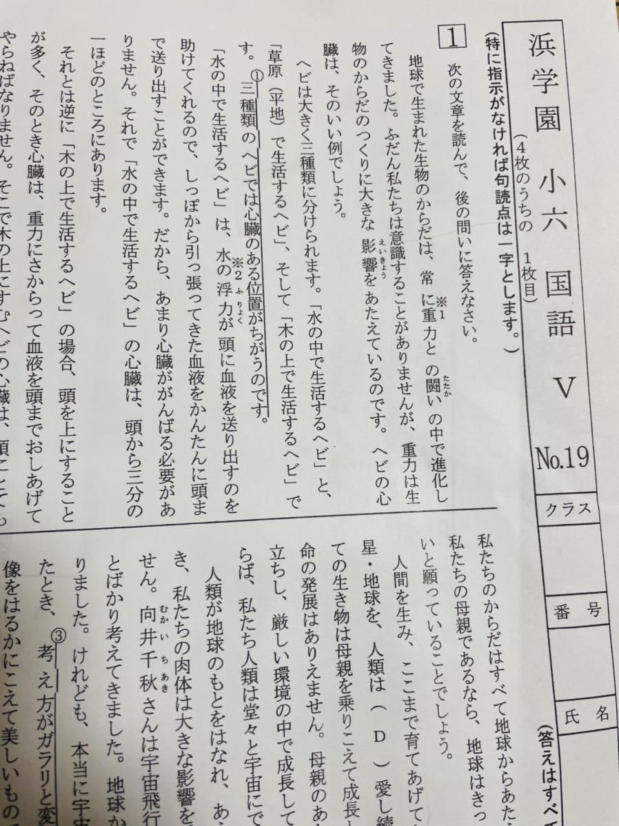 浜学園小6 2022年度 Vクラス復習テスト 1年分 3科目 国語 算数 理科