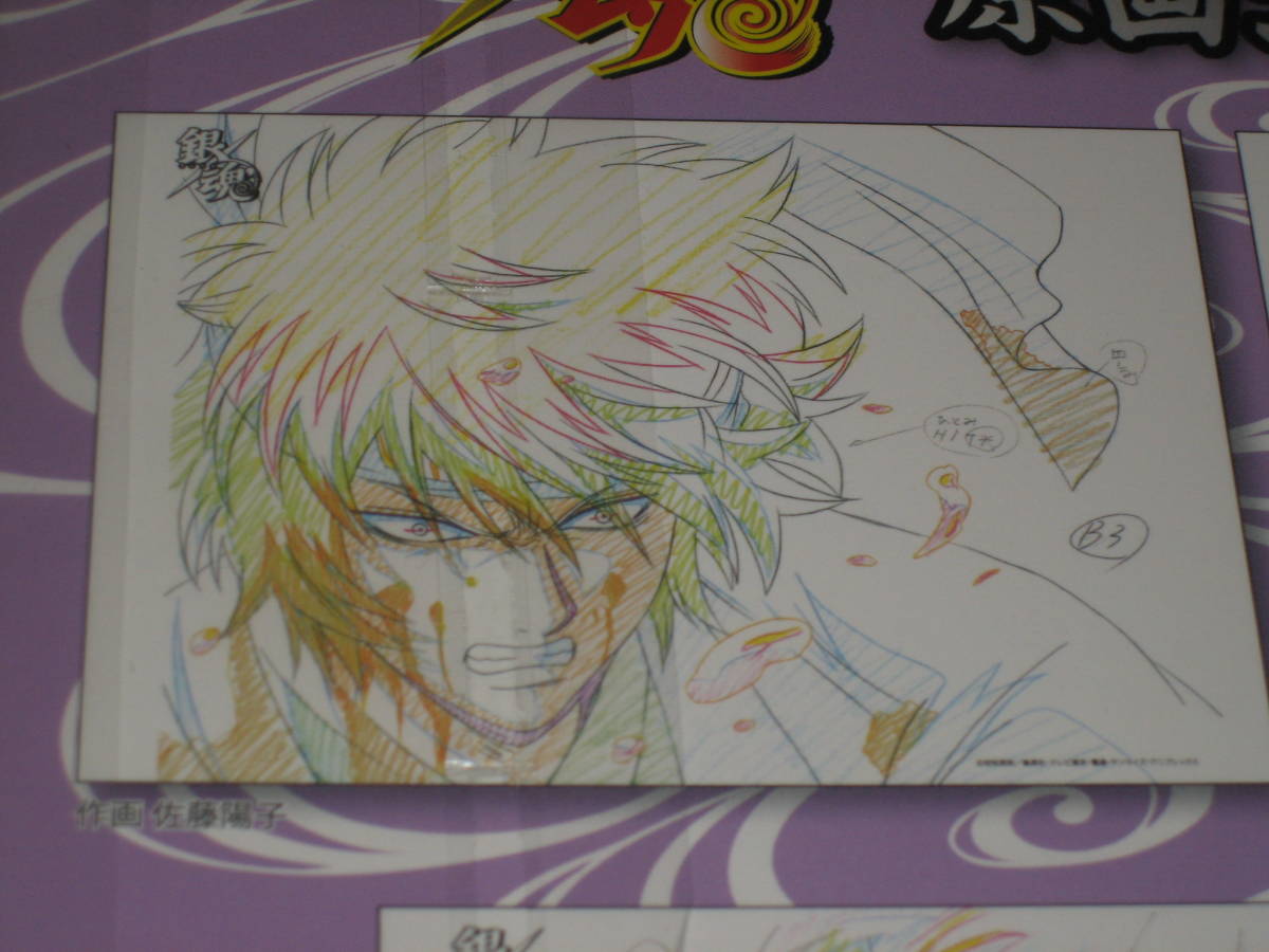 銀魂 ムービック GINTAMA 原画シートセレクションD 5枚セット 坂田銀時