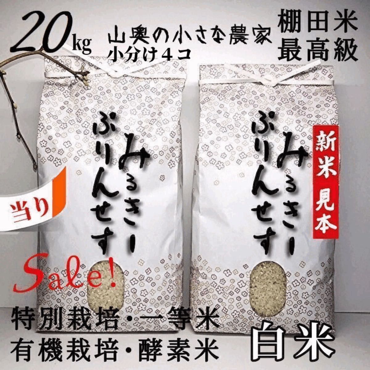 新米 コシヒカリ 酵素米 お米 玄米 20キロ「 標準 白米に精米」【希少】