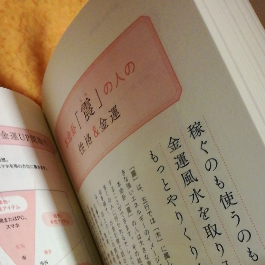 ぽっきりSALE対象 書籍「基礎からわかる 基礎からわかる 風水の完全