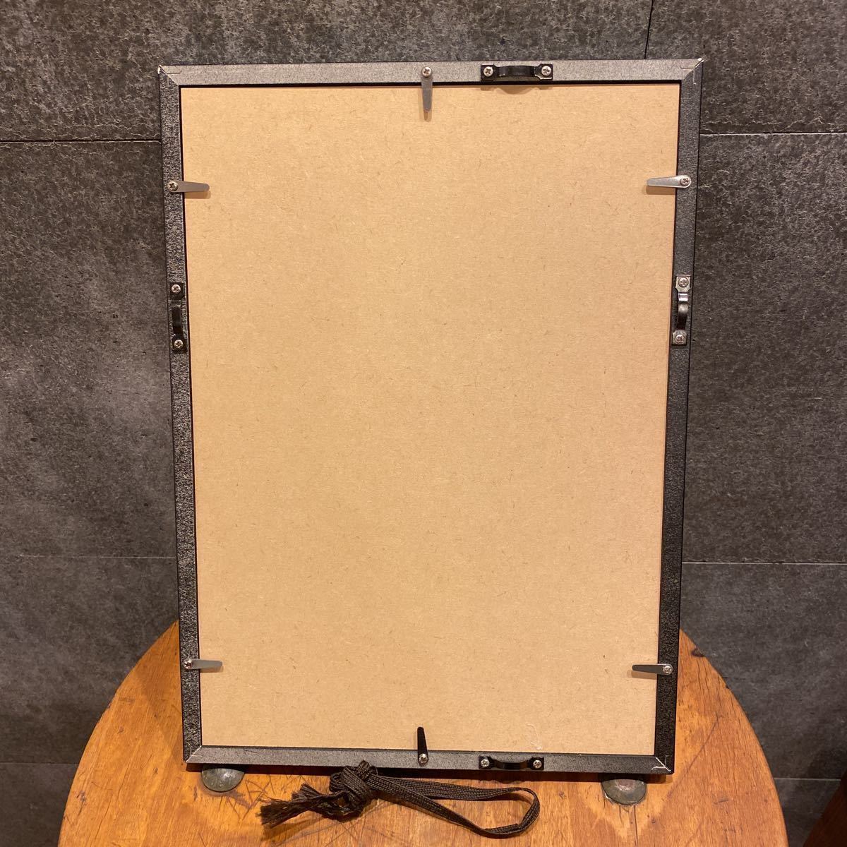 新色追加! invisible ink 通販 × botanize × - BANAKEN シルバー