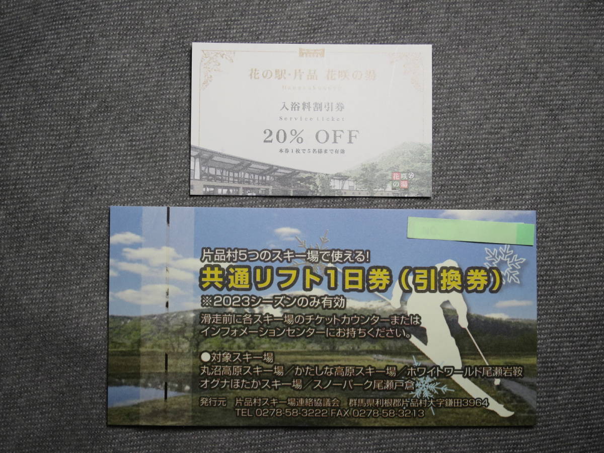 オグナホタカスキー場 1日券 2枚 - スキー場