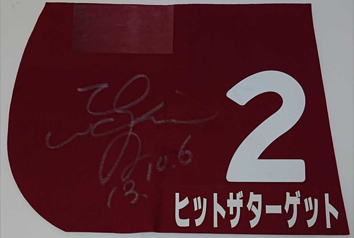 素敵でユニークな 競馬 ヒットザターゲット 京都大賞典優勝実使用