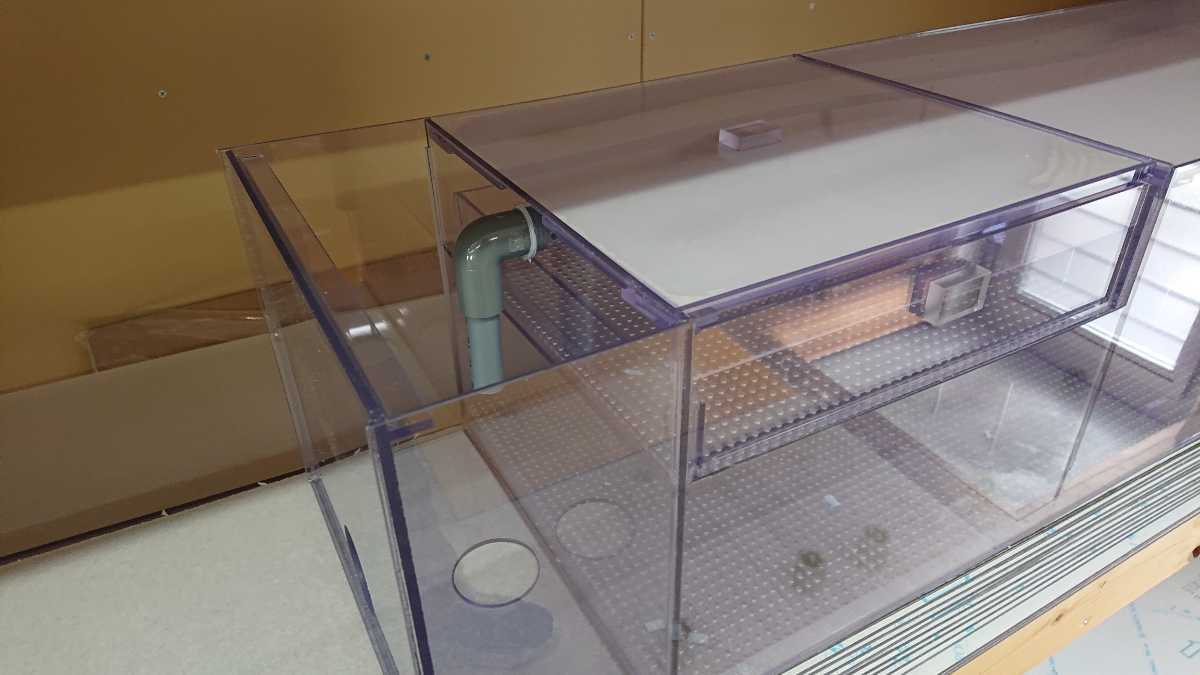 120 アクリル水槽用上部フィルター w300 引き出し式 | www