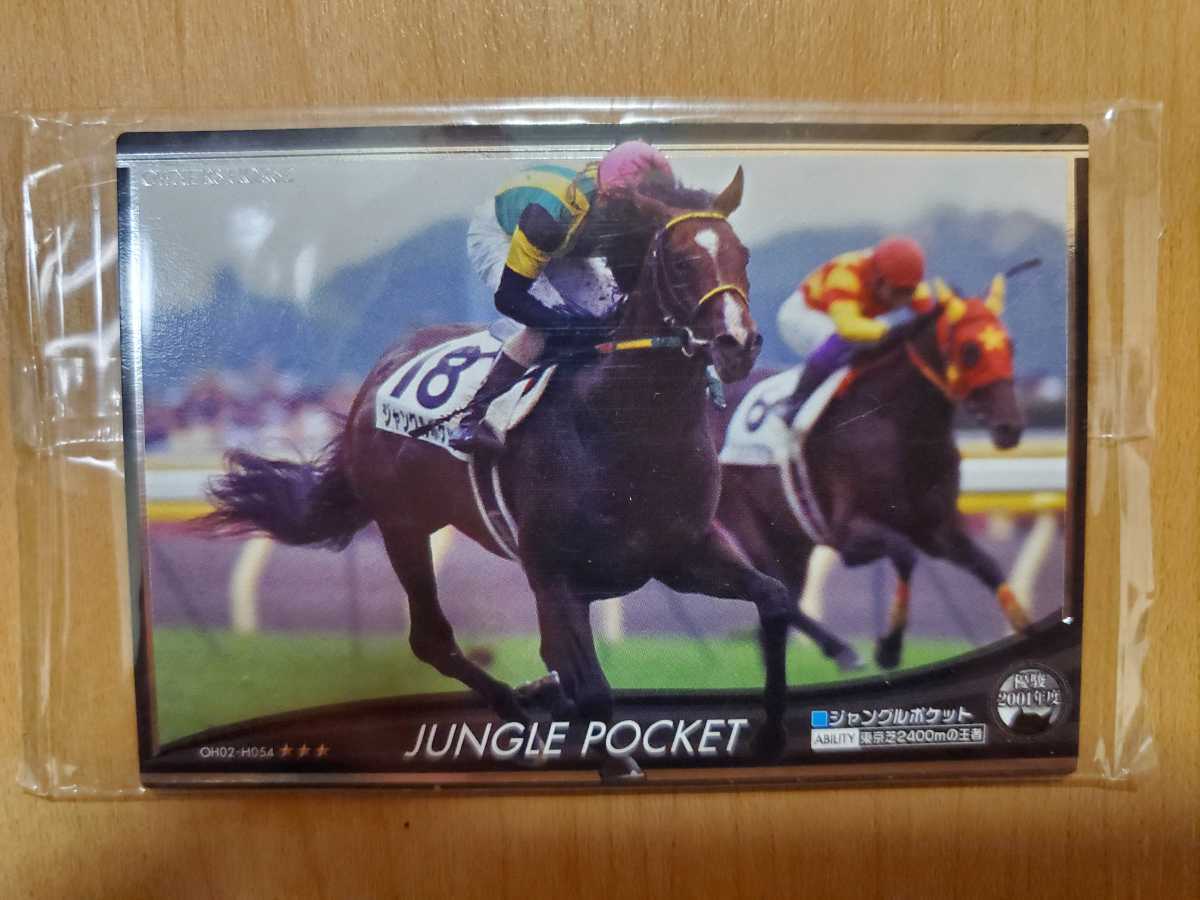 ジャンルグルポケット　競馬　オーナーズホース_画像1