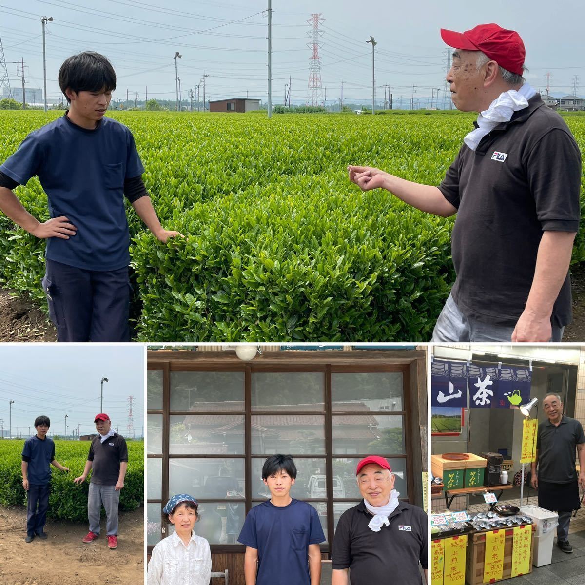 狭山茶☆茶畑直販 煎茶3本(令5年産)一番茶 深蒸し茶 緑茶日本茶お茶