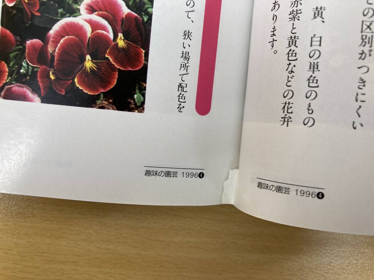 IZ0287 NHK хобби. садоводство Япония радиовещание выпускать ассоциация эпоха Heisei 8 год 4 месяц 1 день выпуск контейнер сад knsi Ran тюльпан анютины глазки viola шлюмбергера 