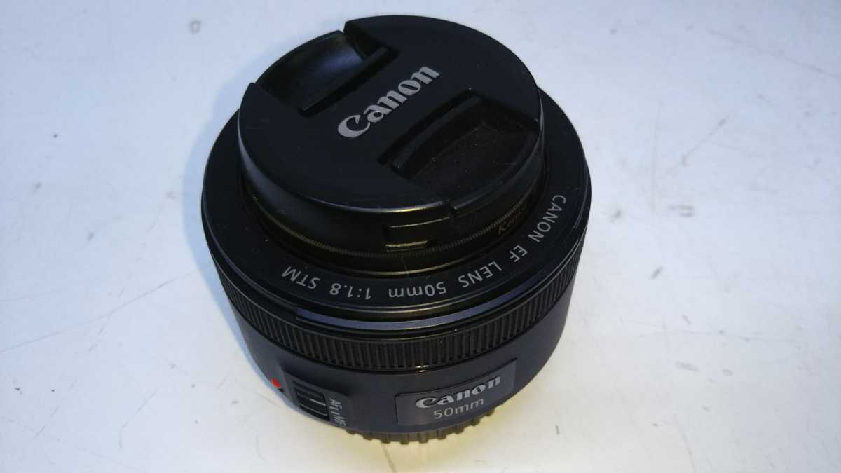 M※ Canon キヤノン デジタル一眼レフカメラ EOS 6D MarkⅡ/50mm 1：1.8 付き_画像7