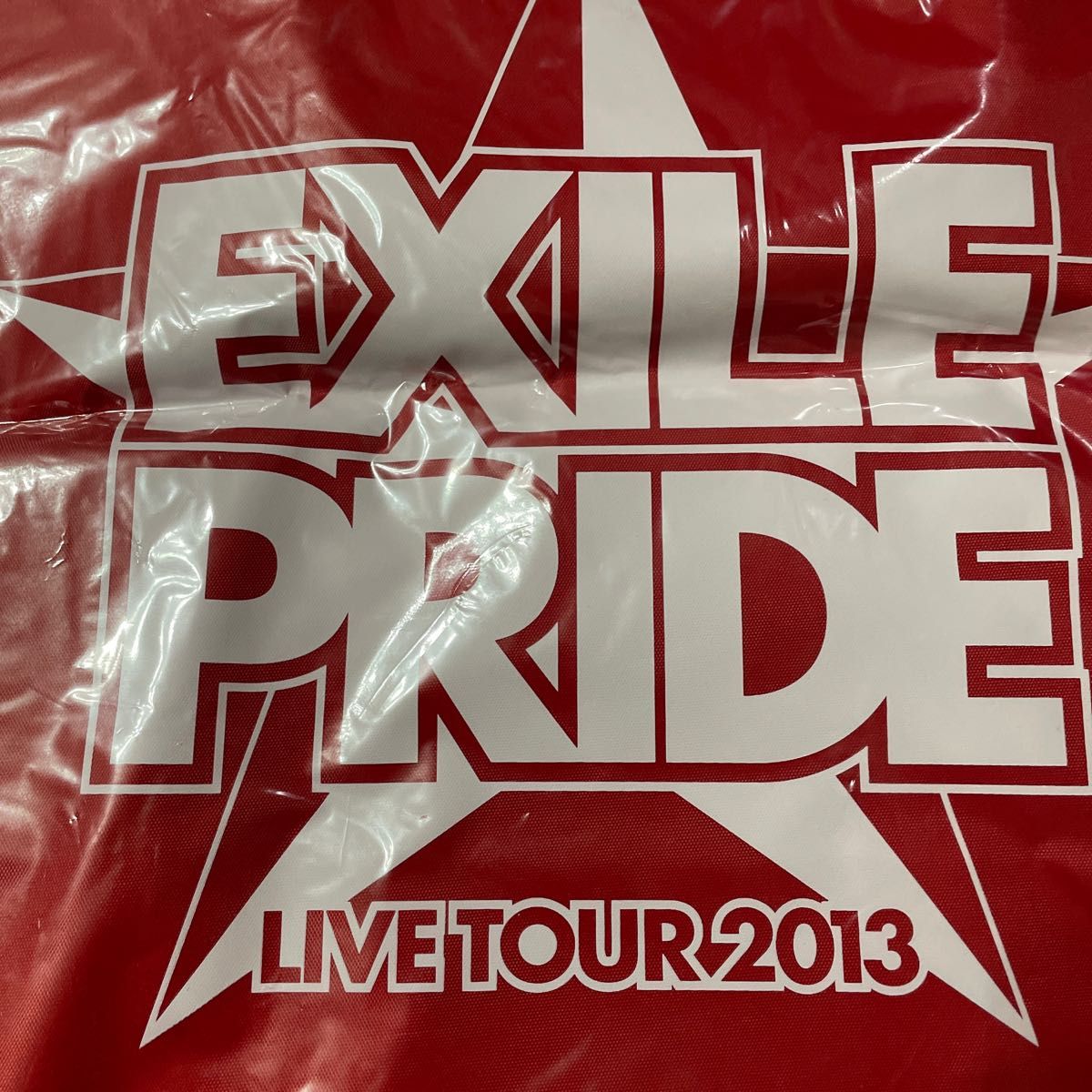 新品　未開封　EXILE PRIDE  2013ツアー トートバッグ  ２点セット　ツアーグッズ　ライブグッズ