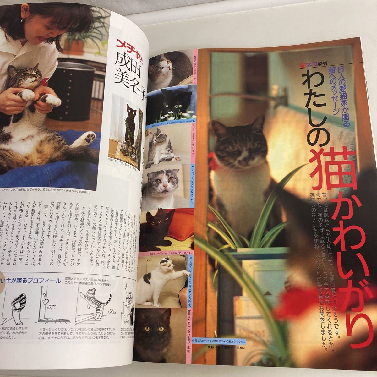 ◇送料無料◇ 月刊 MOE モエ 1995年9月 191号 ムーミンのふるさとを訪ねる旅 猫ネコ特集 おばけのバーバパパ ♪G5