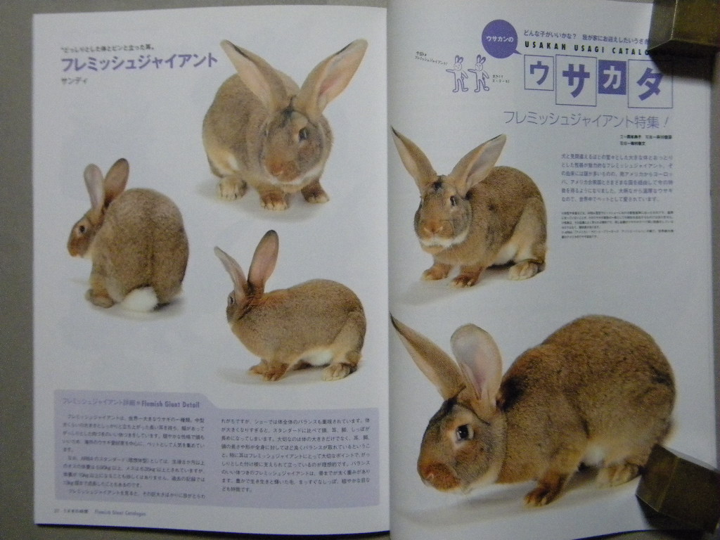 *.... hour N8* special collection /... point ..... thought .* goods kind catalog /fremishuja Ian to* original menu * rabbit / small animals /.*