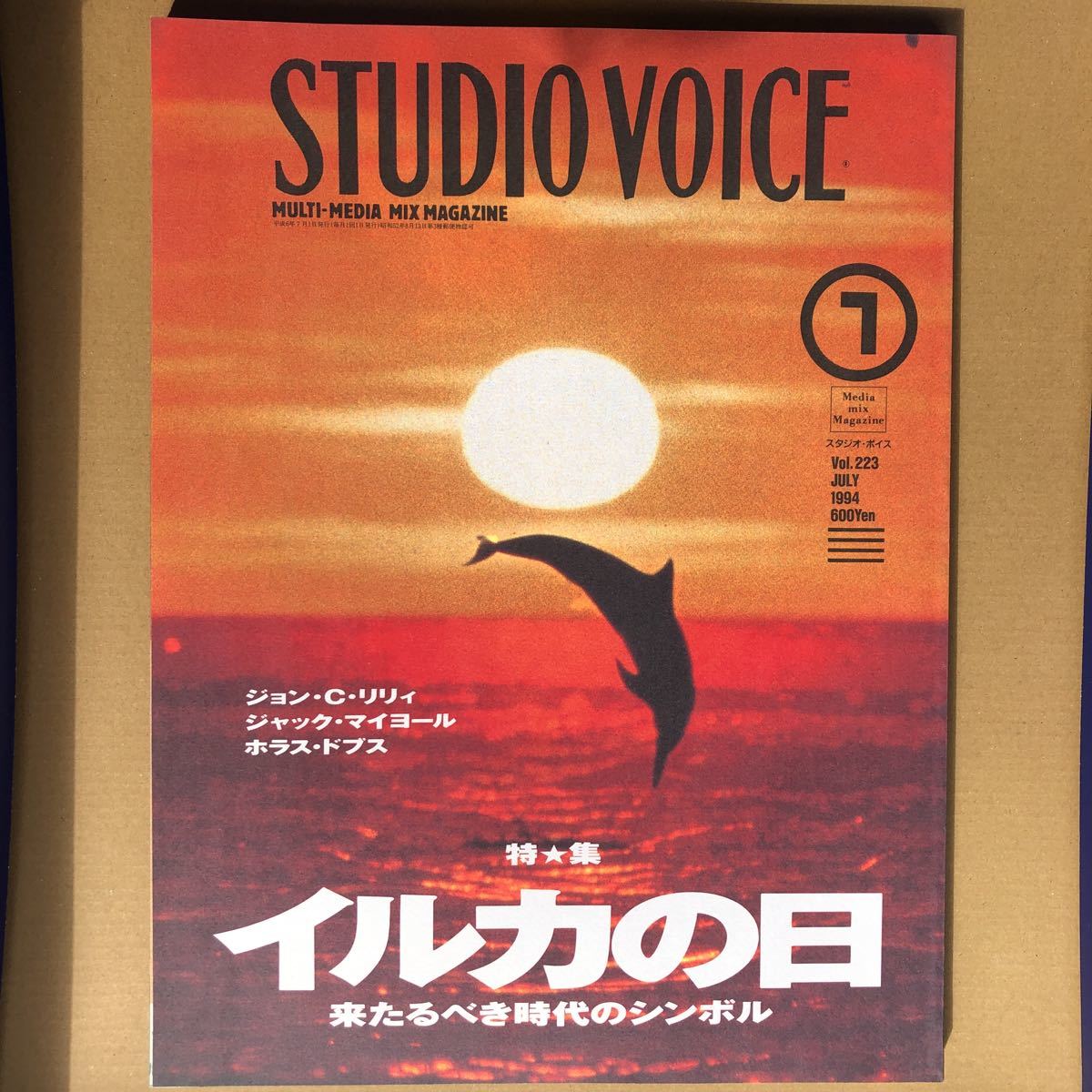 スタジオボイス STUDIO VOICE 1995年7月 イルカの日 アート