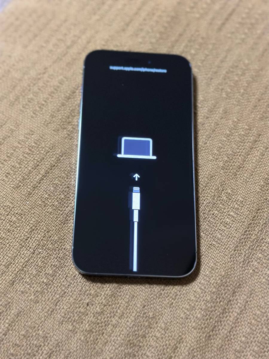 独特な iPhone14 proジャンク cerkafor.com