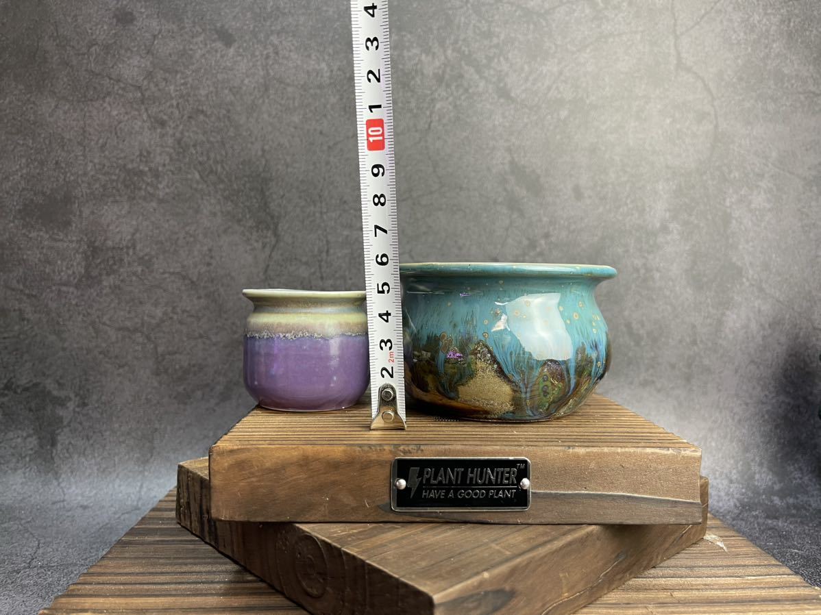 PEACE PIECE X NEIGHBORHOOD 鉢 植物 | pontualmarcasepatentes.com.br