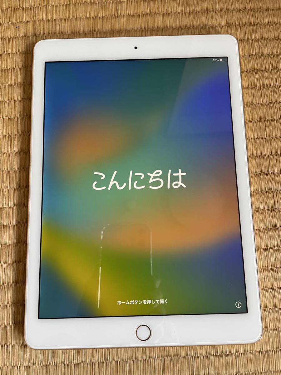 Apple iPad Pro 9.7インチ 128GB Wi-Fiモデル A1673 eprocurement ...
