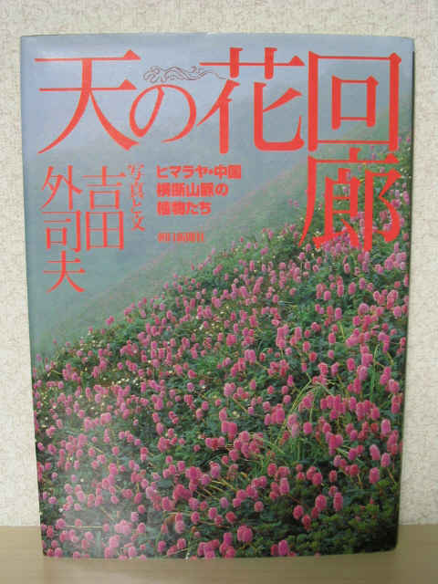 写真集 天の花回廊 ヒマラヤ・中国横断 山脈の植物たち 吉田外司夫 チベット高原 高山植物 朝日新聞社 シャクナゲ 青いケシ サクラソウ_画像1