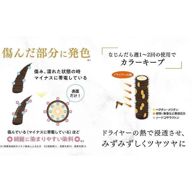 2本セット KAMIKA 白髪染めカラートリートメント ローズブラウン(新品