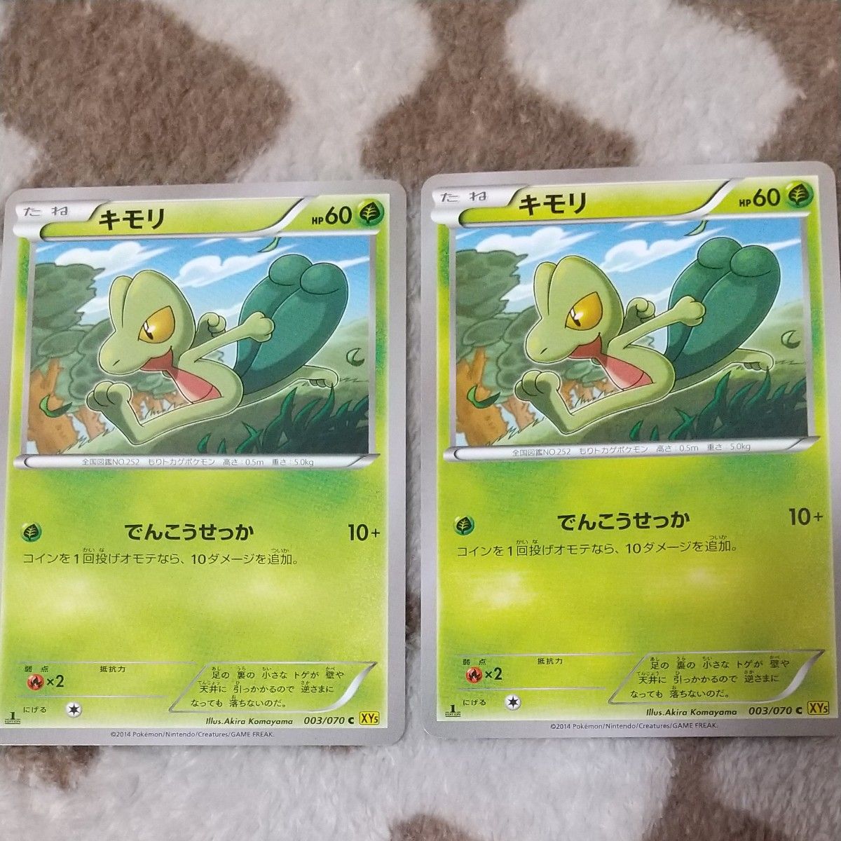 ポケモンカード キモリ ジュプトル ジュカイン|Yahoo!フリマ ポケモンカード キモリ ジュプトル ジュカイン|Yahoo!フリマ