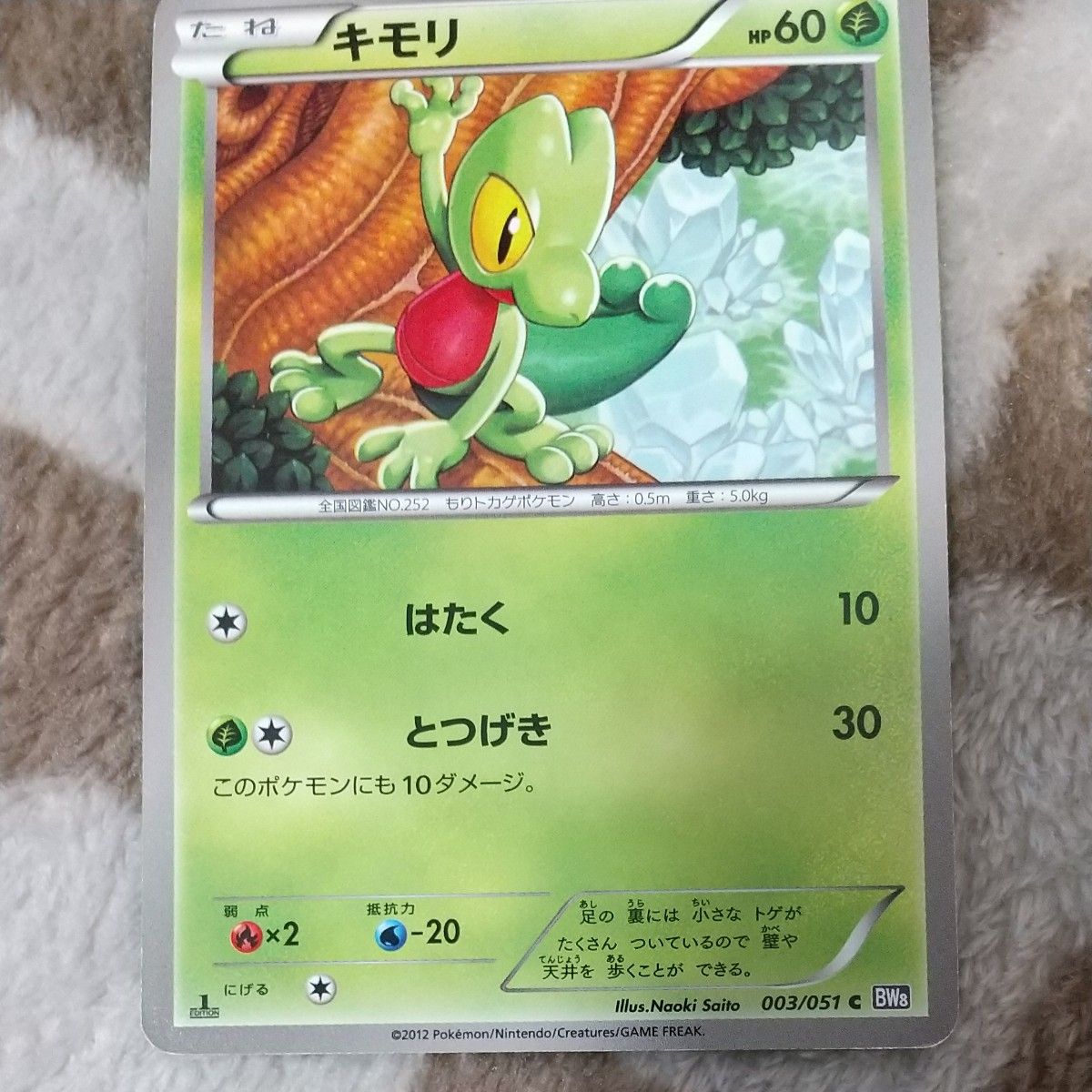 ポケモンカード キモリ ジュプトル ジュカイン|Yahoo!フリマ ポケモンカード キモリ ジュプトル ジュカイン|Yahoo!フリマ