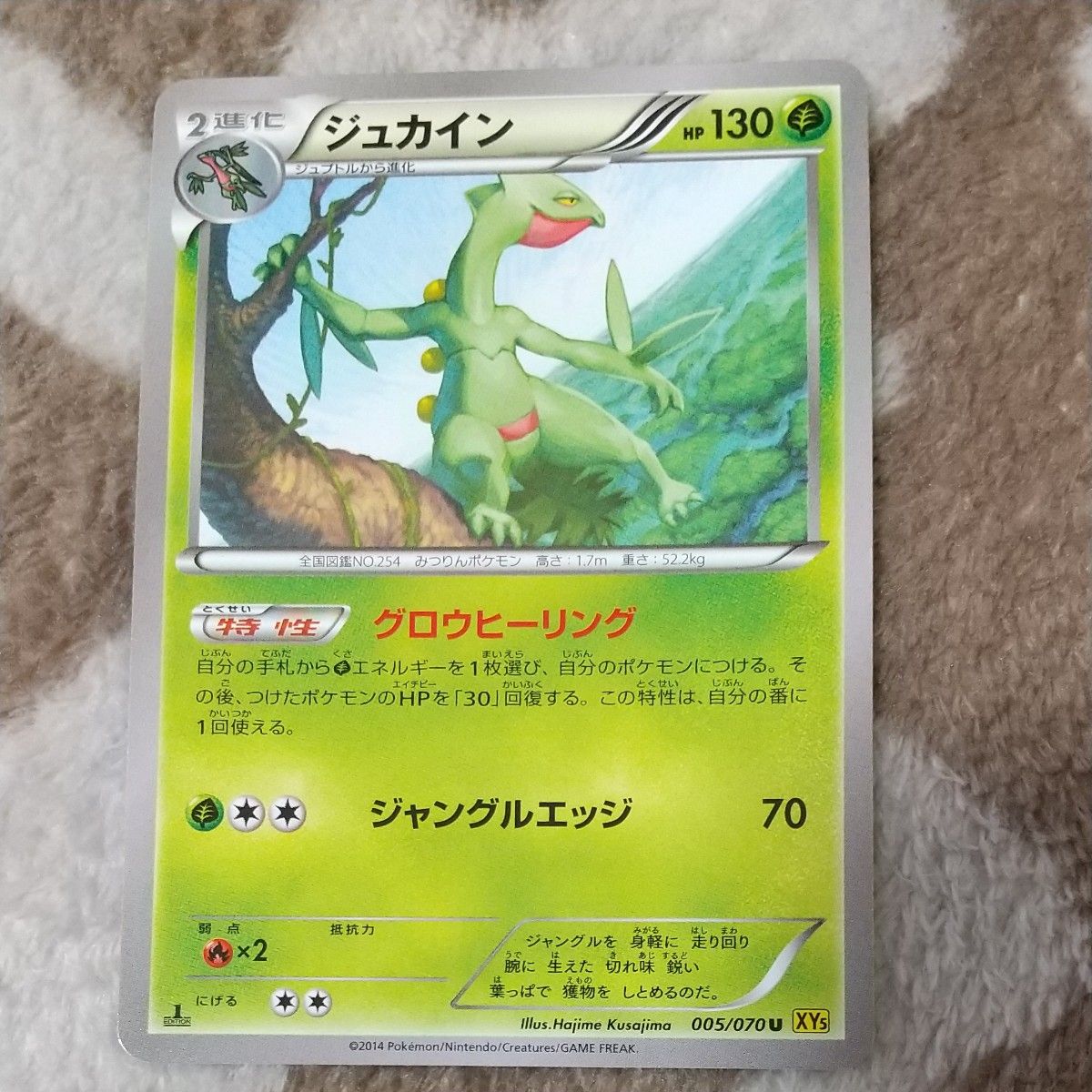 ポケモンカード キモリ ジュプトル ジュカイン|Yahoo!フリマ ポケモンカード キモリ ジュプトル ジュカイン|Yahoo!フリマ