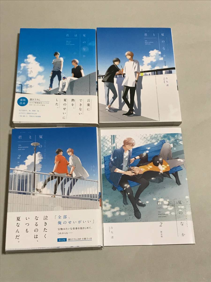古矢渚 『 君は夏のなか 』『 君と夏のなか 』など3冊 小冊子付き 送料