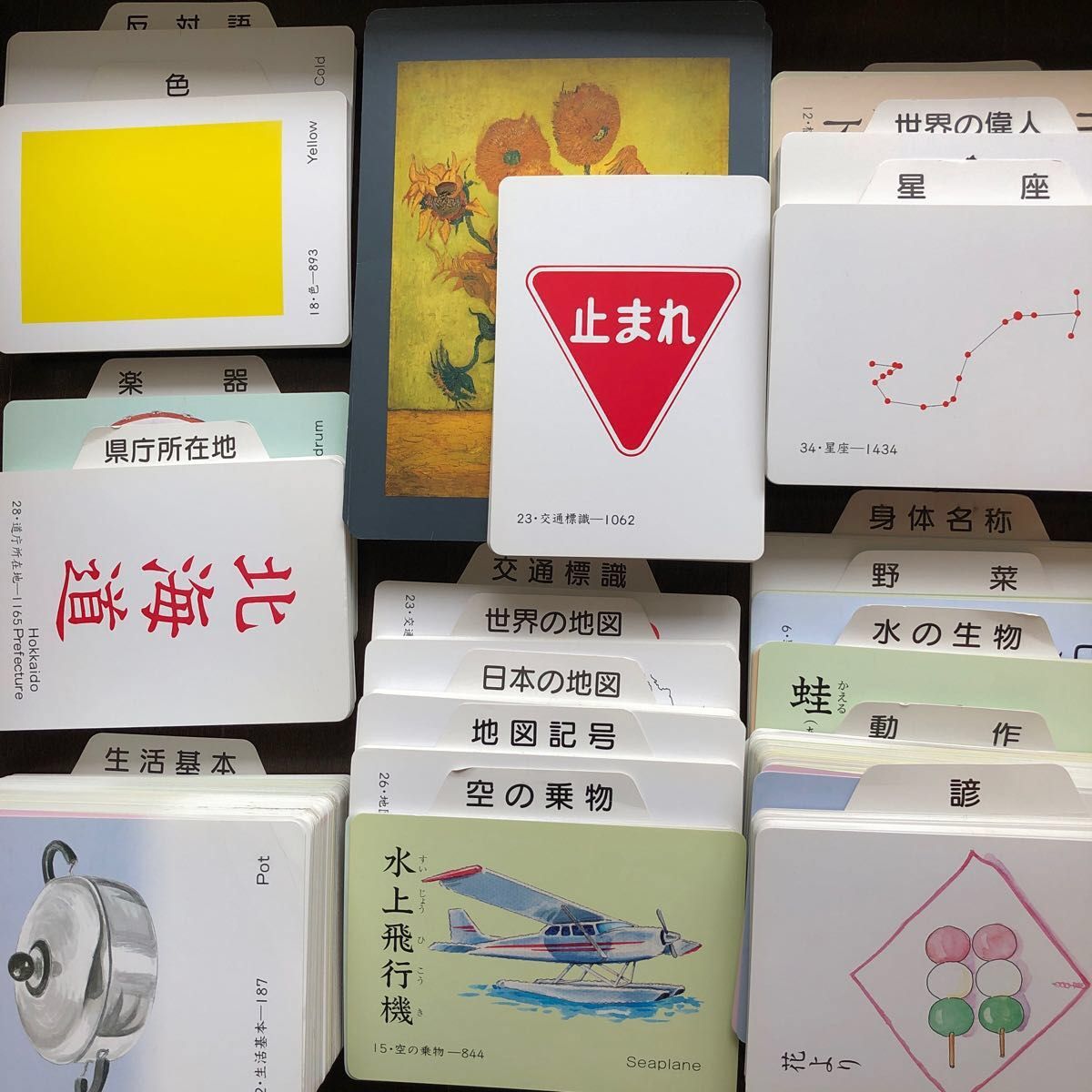 家庭保育園 フラッシュカード 絵カード 全35種セット 外国語CD 家庭保育園 フラッシュカード 絵カード 全35種セット 外国語CD