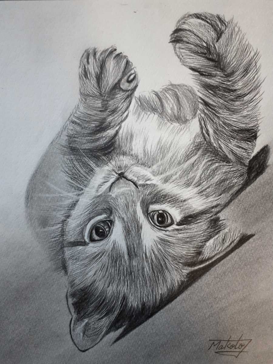 鉛筆画アート 寝転ぶ猫|Yahoo!フリマ(旧PayPayフリマ) 鉛筆画アート 寝転ぶ猫|Yahoo!フリマ(旧PayPayフリマ)