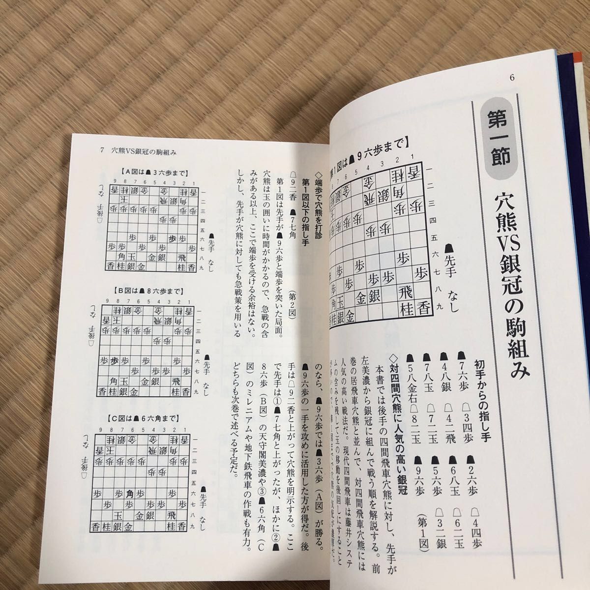 東大将棋ブックス四間飛車道場　第８巻 （東大将棋ブックス） 所司和晴／著