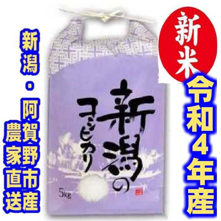 日本メーカー新品 新米 令和4年産 新潟 新之助 白米5kg × 2個 農家直送